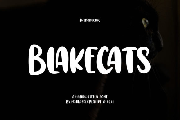 Blakecats: A Bold Display Font