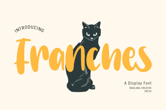 Franches: A Fun Display Font for Creative Projects